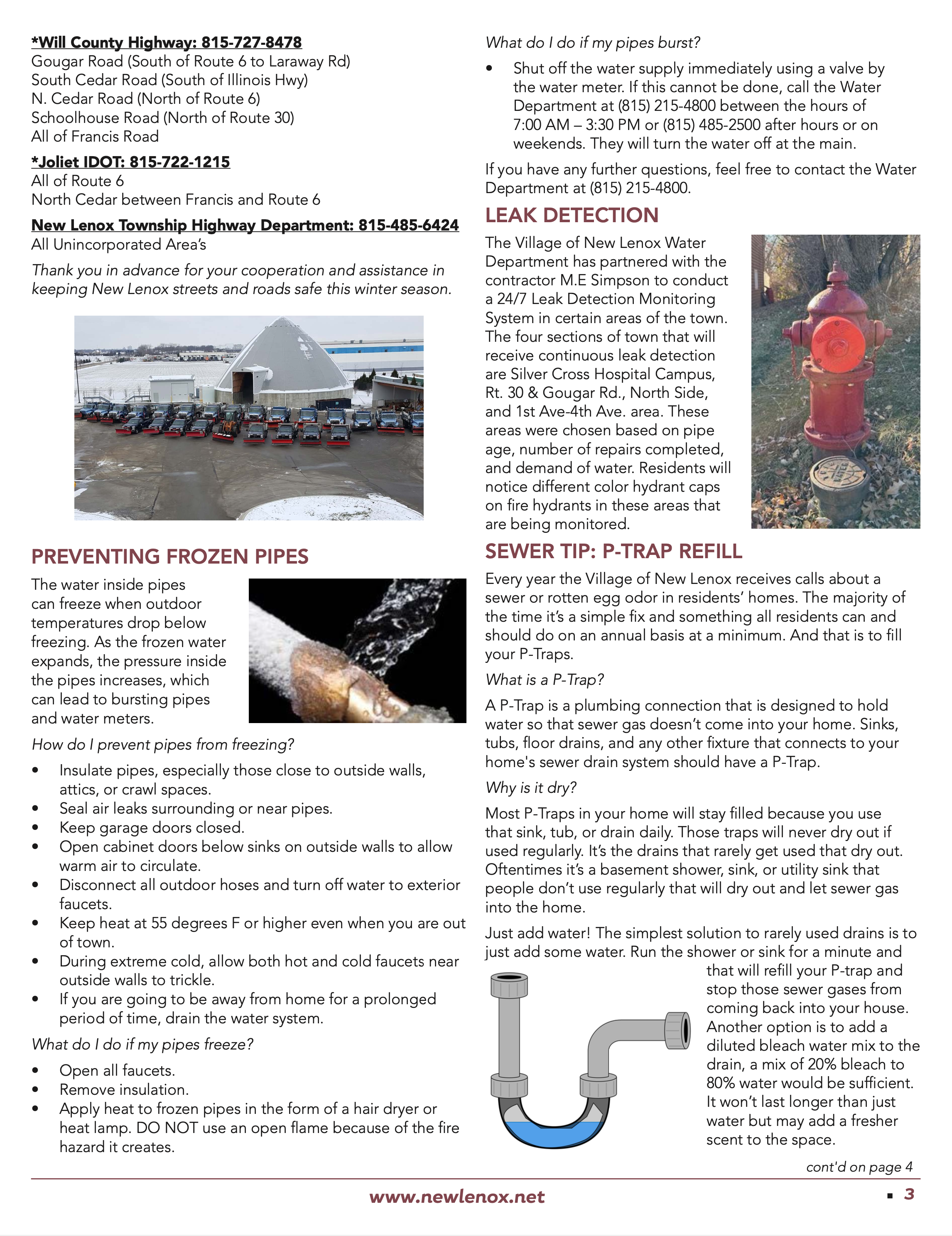 Villager Newsletter Page 3